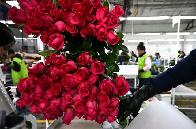 People are advised to be 'politely paranoid' when making potentially romantic connections