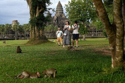 Wild monkeys egged on by YouTubers have been rampaging at Cambodia's famed Angkor Wat comp