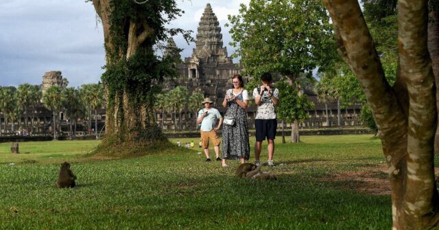 Macaques Attack Tourists at Cambodia's Angkor Wat