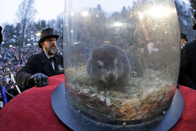 Groundhog Day-Things to Know The Associated Press