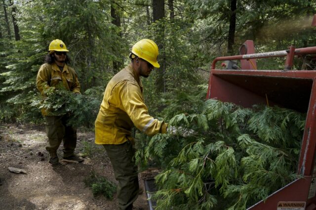 Trump Wildfires Fired Workers The Associated Press