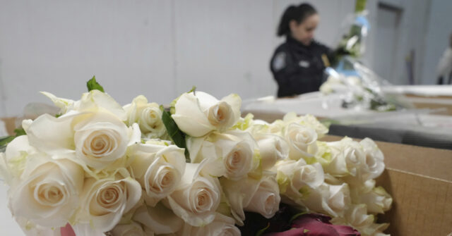 Miami Airport's Massive Valentine's Flower Import