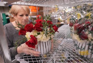 Border officials warn: Valentine's flowers might express true love, but some are risks for