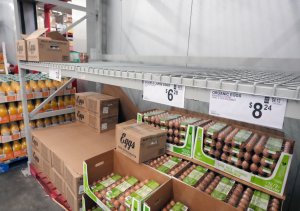 CPI: U.S. consumer prices rise 0.5% in January; egg prices spike 15.2%
