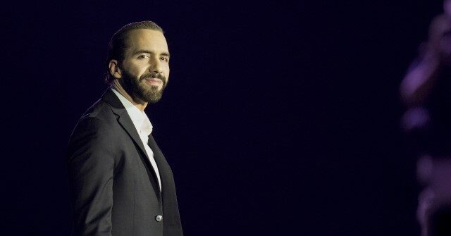 Venezuela Calls Nayib Bukele an 'Imperial Puppy' for Deal with Trump on Illegal Aliens