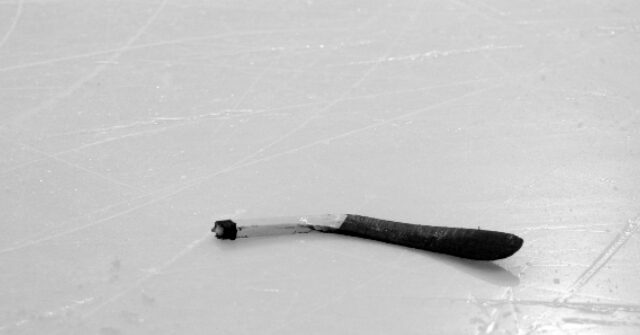 VIDEO: Fans Shocked as Hockey Fight Ends in Horrific Injury