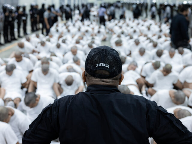 US deports over 250 alleged gang members to El Salvador's mega-prison SAN SALVADOR, E