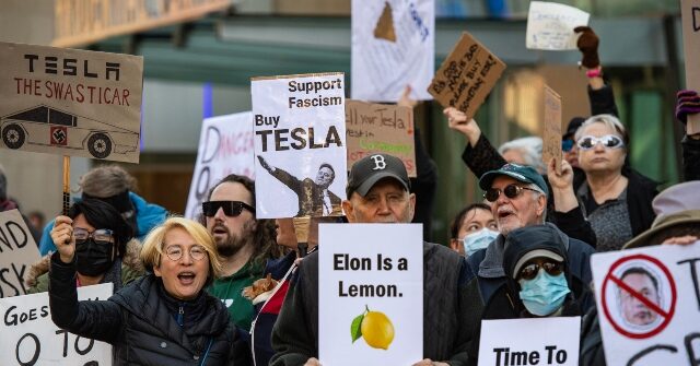 Musk Protests Grow in U.S. and Canada