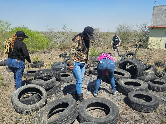 Members of Colectivo Amor Por Los Desaparecidos search for bone fragments in a cartel kill