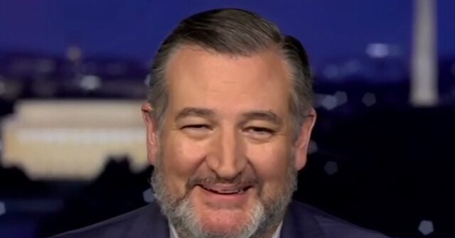 Ted Cruz: Democrats 'Don't Stand for Anything Other than Rage and Hatred'