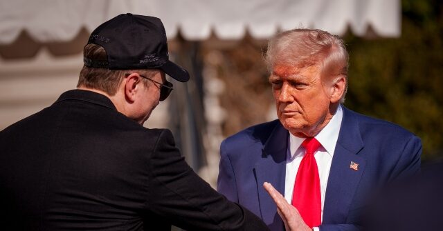 President Trump Vows to Label Attacks on Tesla Locations as Domestic Terrorism