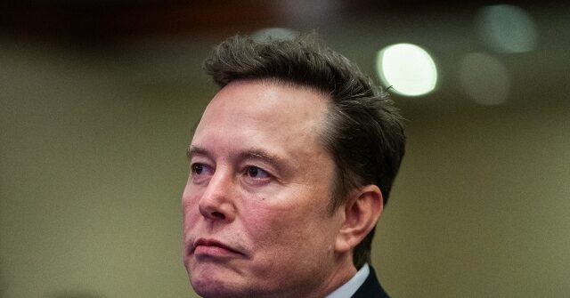 Elon Musk's Tesla Suffers Historic 50% Drop in Share Price Since December