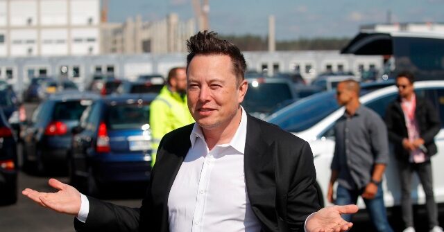 'Selling the Nazi Mobile:' Leftist Tesla Owners Revolt Against Former Darling Elon Musk