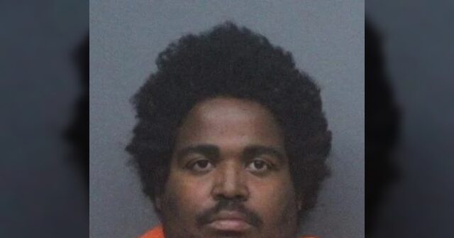 Police: Obese Texas Man Rammed ATV into Parked Teslas in Hit-and-Run Spree