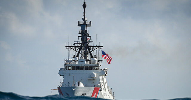WATCH: U.S. Coast Guard Makes 'High-Stakes' Rescue of Man on Cruise
