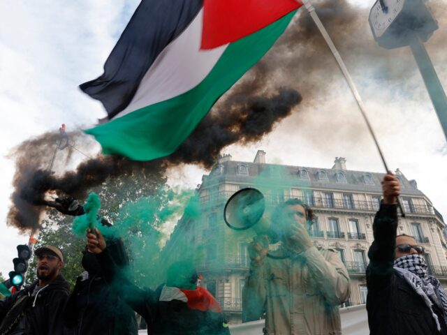 Protestors hold a Palestinian flag and flares during a demonstration called by French orga
