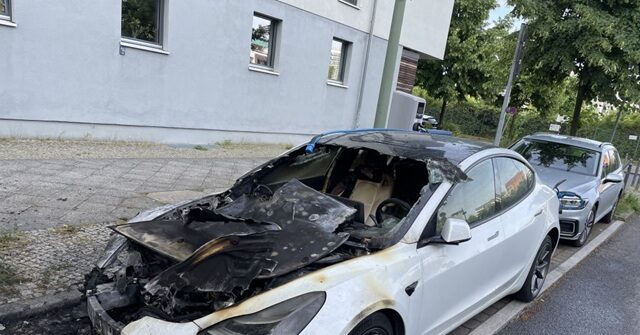 Moulton: Attacks on Teslas, Dealerships Are 'a Protest'