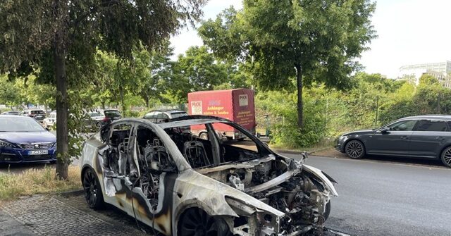 MSNBC's Melber: People Committing Anti-Tesla Violence Are 'People Who Protest' Tesla