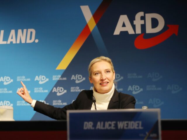 BERLIN, GERMANY - DECEMBER 07: Alice Weidel, co-leader of the far-right Alternative for Ge