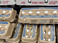 Eggscellent News: Egg Prices Are Falling