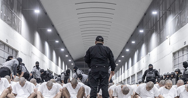 64% Back Trump Deporting Venezuelan Gangs, Plurality Want Judge Impeached