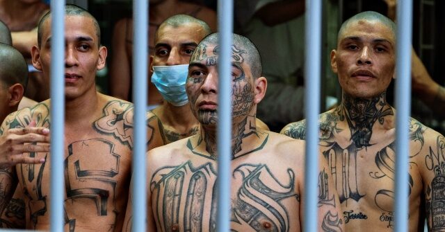 Top Democrat: Illegals Deported by Trump 'Should Have Been Afforded the Right' to Deny their Gang Membership