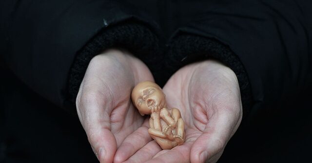 PHOTO: GA Dem. Urged to 'Repent' for Mocking God in Abortion Hearing