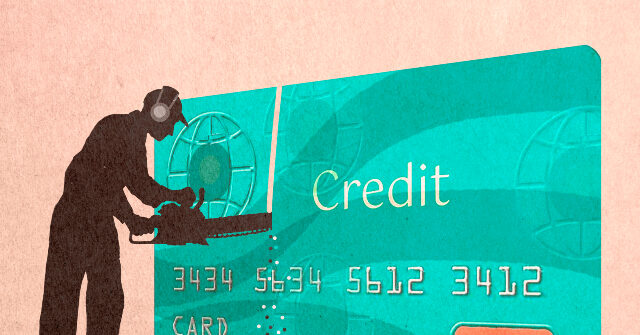 DOGE: More than 200,000 Federal Government Credit Cards Deactivated