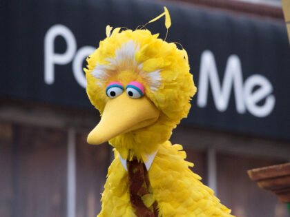 NEW YORK, NY - NOVEMBER 22: Big Bird of Sesame Street attends the 2018 Macy's Thanksg