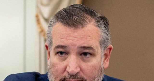 Ted Cruz on Zelensky Demands: 'Our Checkbook Is Done'