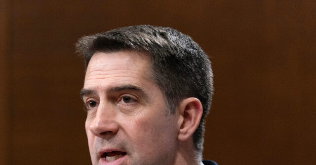 Tom Cotton Blasts Code Pink 'Lunatic' Interrupting Hearing: They're 'Funded by Communist China'