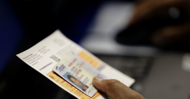 Shawn Steel: Congress Must Prioritize National Voter ID Law