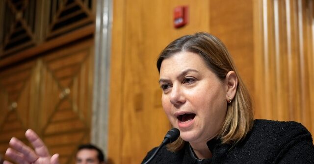 Watch: Democrat Response to President Trump's Address to Congress