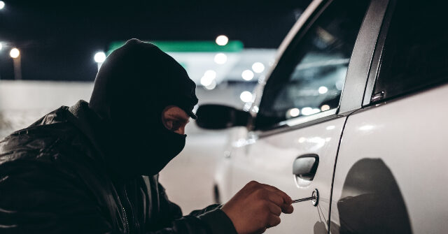 Chicago: Concealed Carrier Shoots Alleged Car Burglar