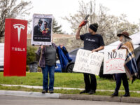 Protesters Gather Outside Tesla Showrooms over Elon Musk’s DOGE