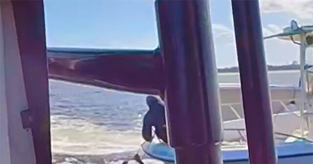 Good Samaritan Rescues Senior Citizen Who Fell Off Fishing Boat