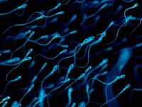 Largest U.S. Sperm Bank Suffers Data Breach Exposing Personal Information