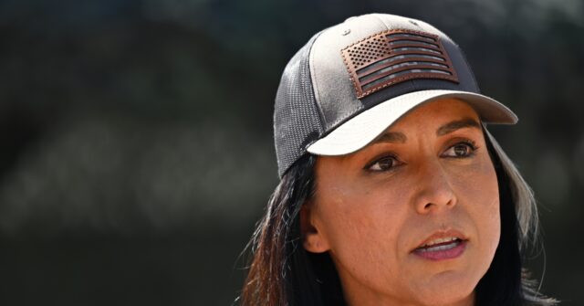 Gabbard: Almost 100 Terror-Linked Migrants Released in 2024