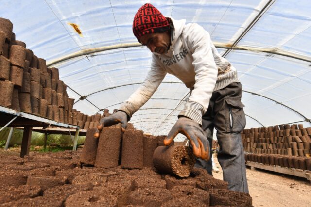 A man arranges rolls of olive pomace at the grounds of start-up Bioheat in the town of San