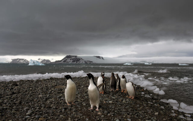 South Africa Antarctica Base The Associated Press