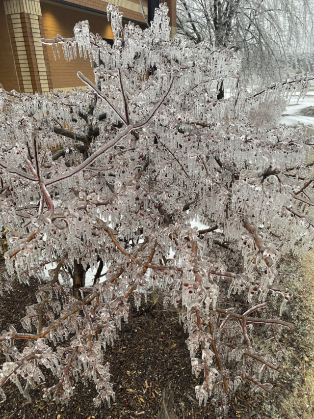 US Severe Weather The Associated Press