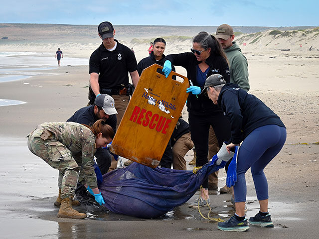 This photo provided by Vandenberg Space Force Base shows Vandenberg members and Channel Is