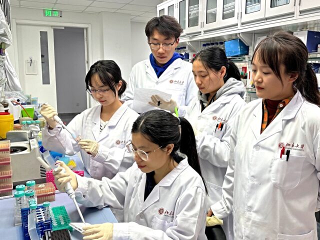 Chinese Scientists (250228) -- BEIJING, Feb. 28, 2025 (Xinhua) -- A research team of Peking University (PKU)