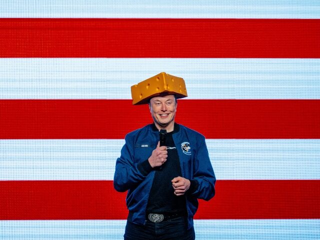 Elon Musk in a cheesehead hat