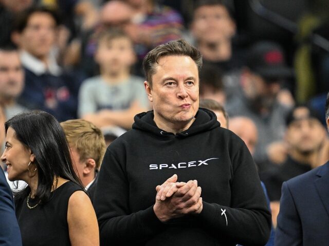 Elon Musk looks nonplussed over Tesla numbers