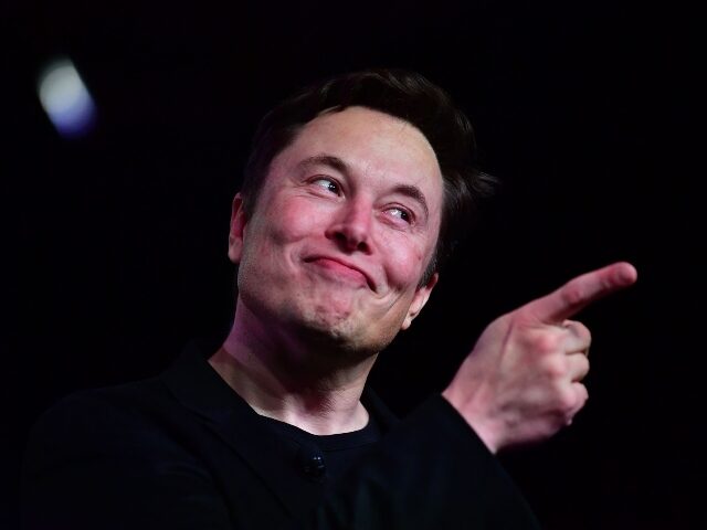 Elon Musk points at vandals caught on camera