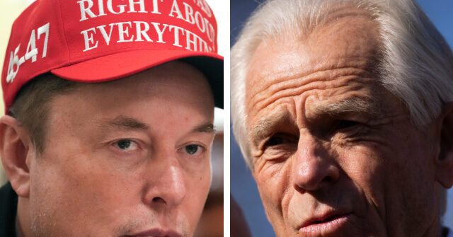 'Moron': Musk Continues Anti-Tariff Tirade at Peter Navarro