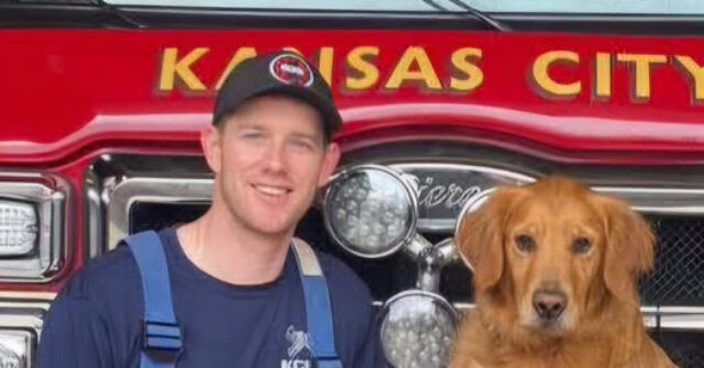 VIDEO: Patient Charged in Fatal Stabbing of Firefighter in Ambulance