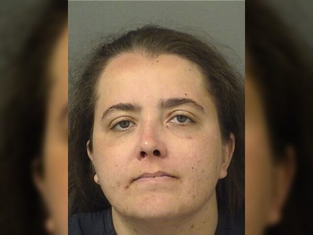 Florida woman arrested for Tesla vandalism