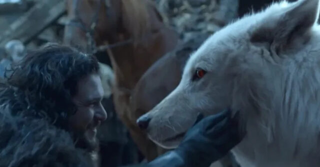 Watch: Genetic Engineering Company Boss Tells Joe Rogan How They Resurrected the Dire Wolf